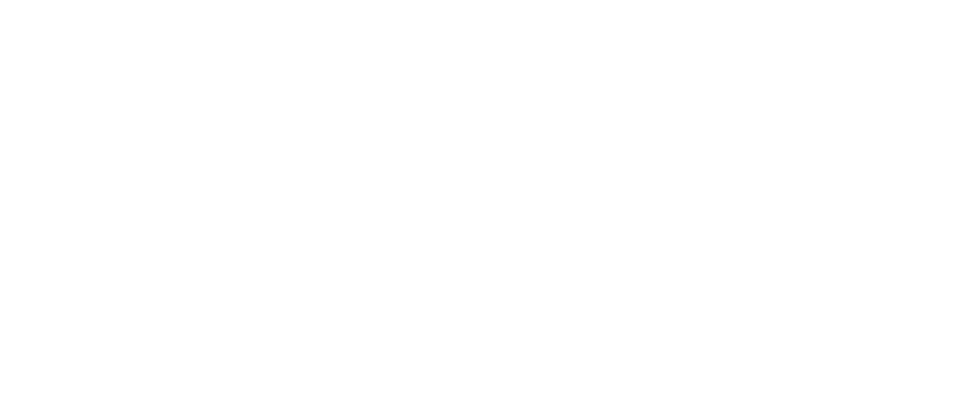 Protectora Aldea